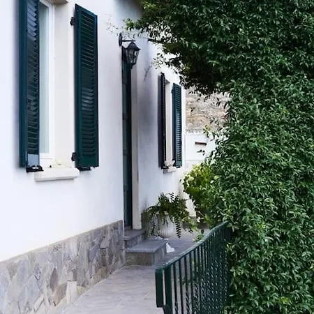 F&f Vista *