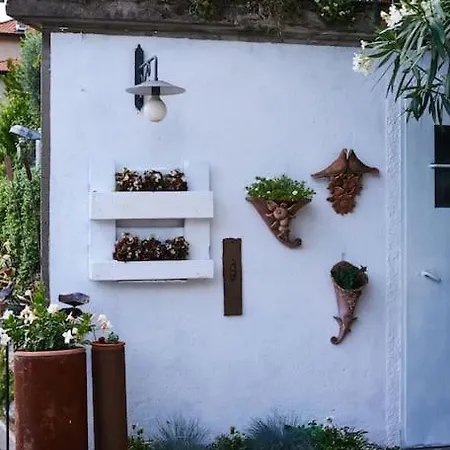 F&f Vista 케르노비오